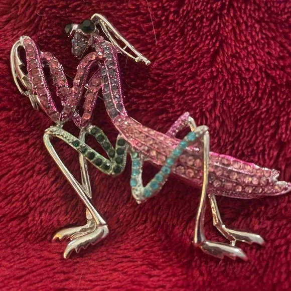 Colorful Rhinestone Praying Mantis Brooch - Picture 2 of 3